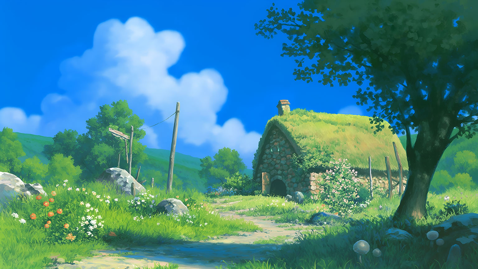 Forest scene